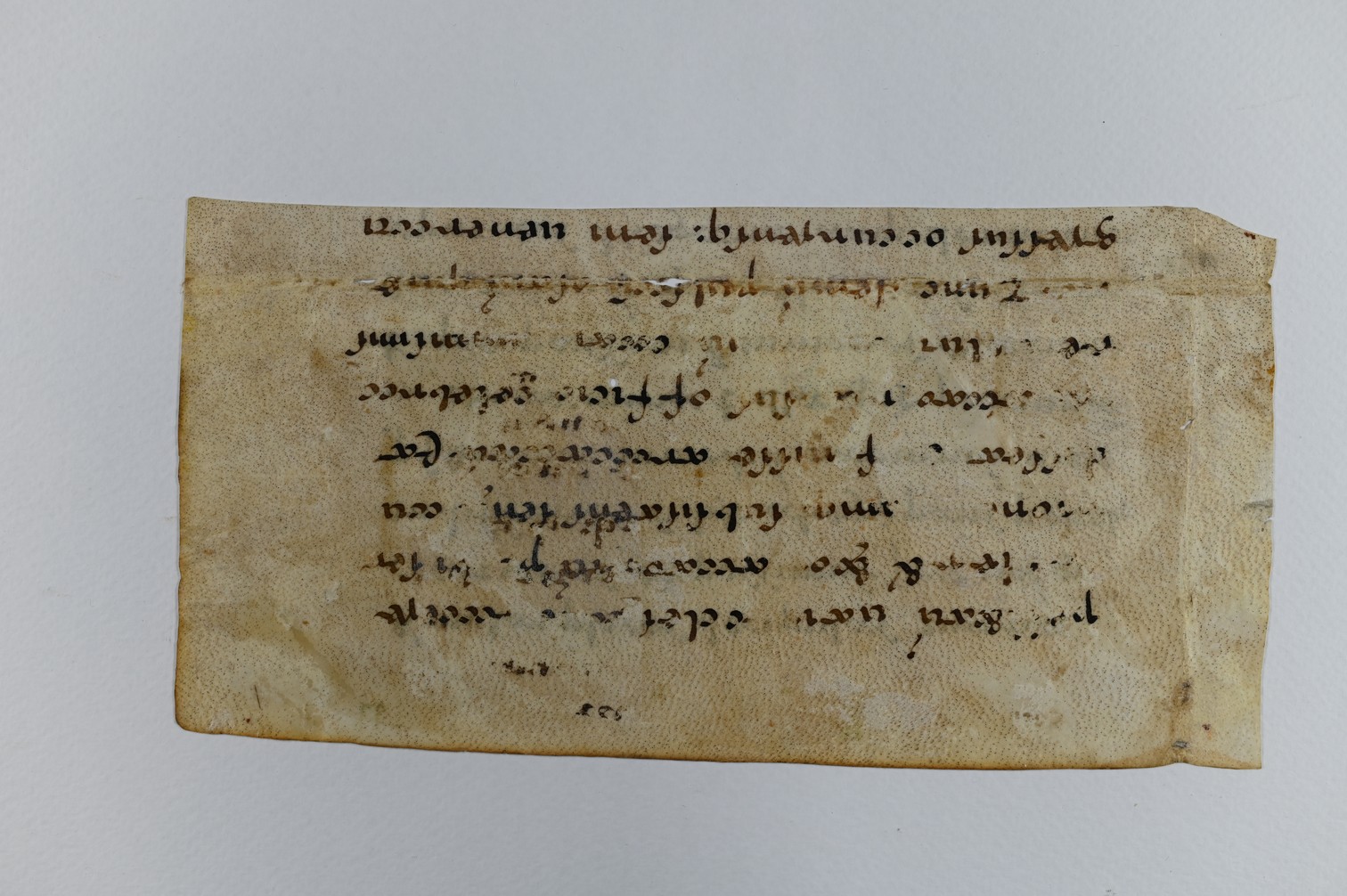 ZBS_S_I_853_A_1_recto