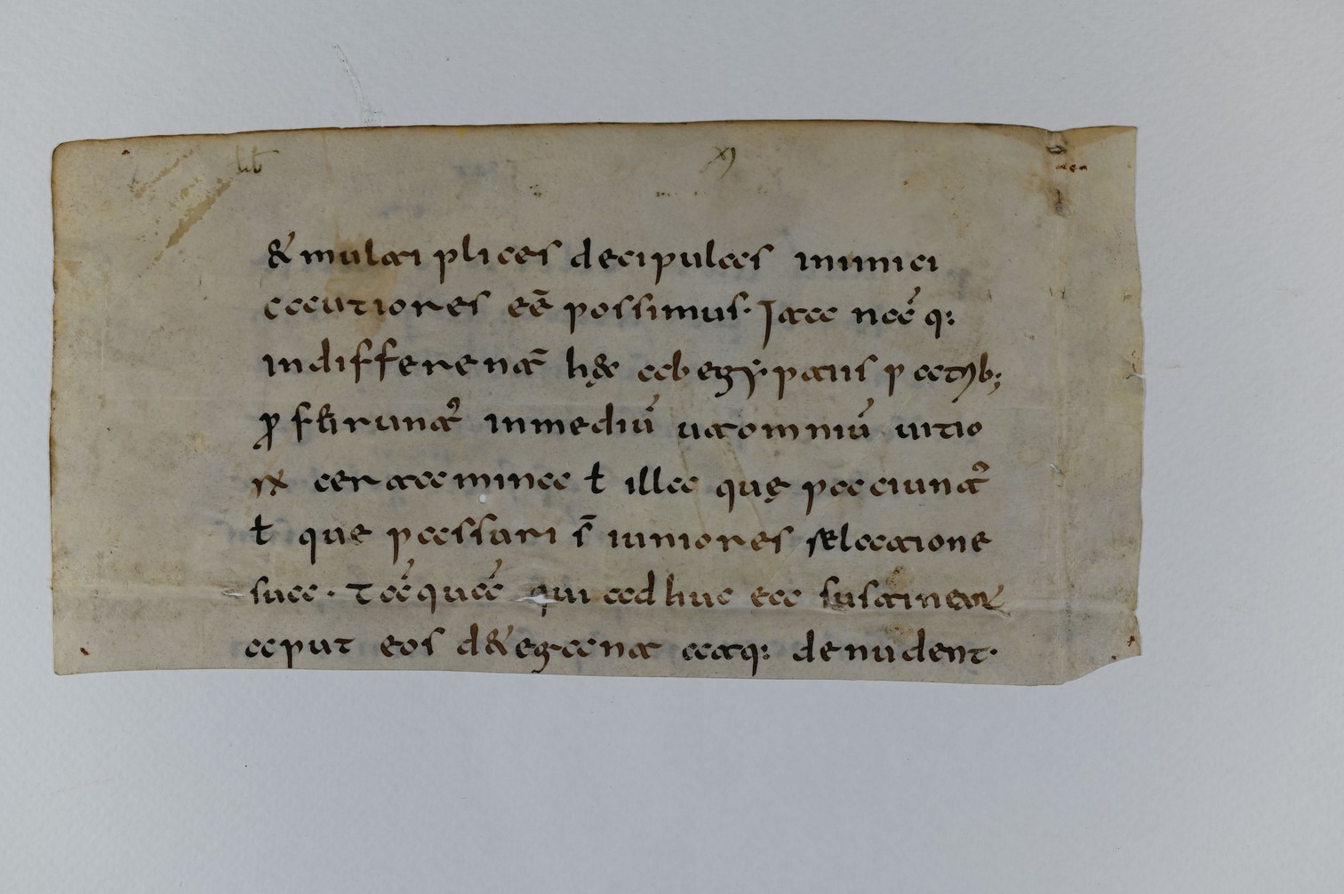 ZBS_S_I_853_A_1_verso