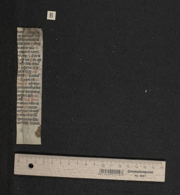 Fragm. 41 b, fol. [1]v