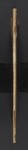 Spine