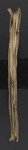Fore edge