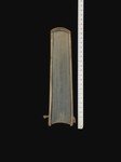 Tail
