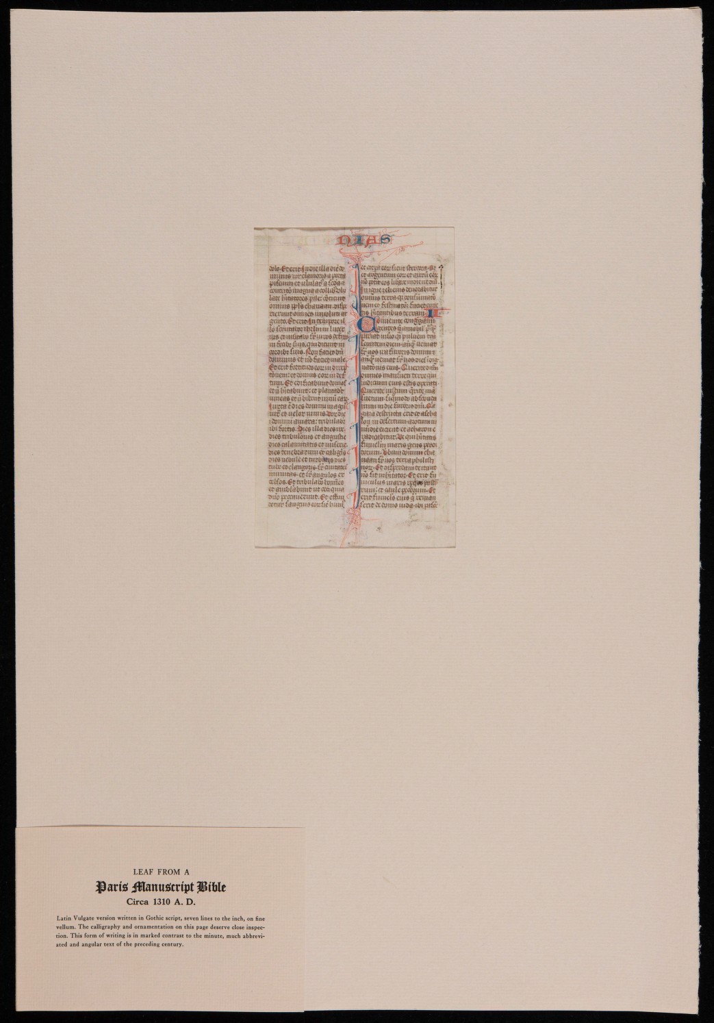 recto with mount and label