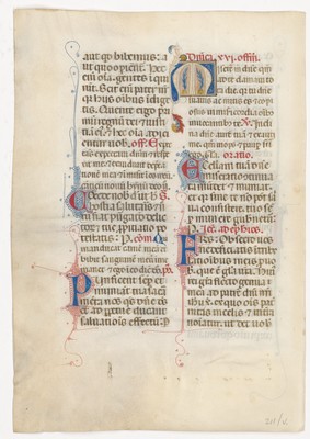 rbsc_ms_medieval_211_v