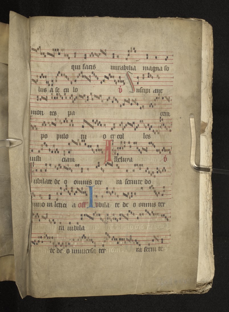 fol. 19v (upper flyleaf recto)