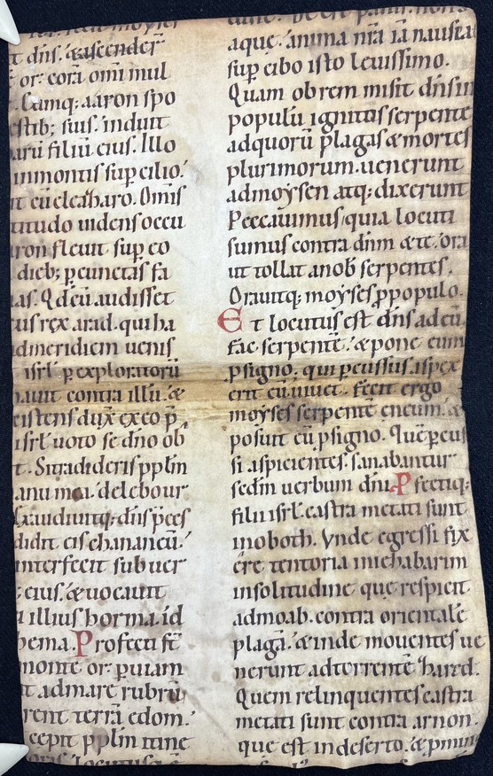 Fragm_Cod_Lat_36_recto