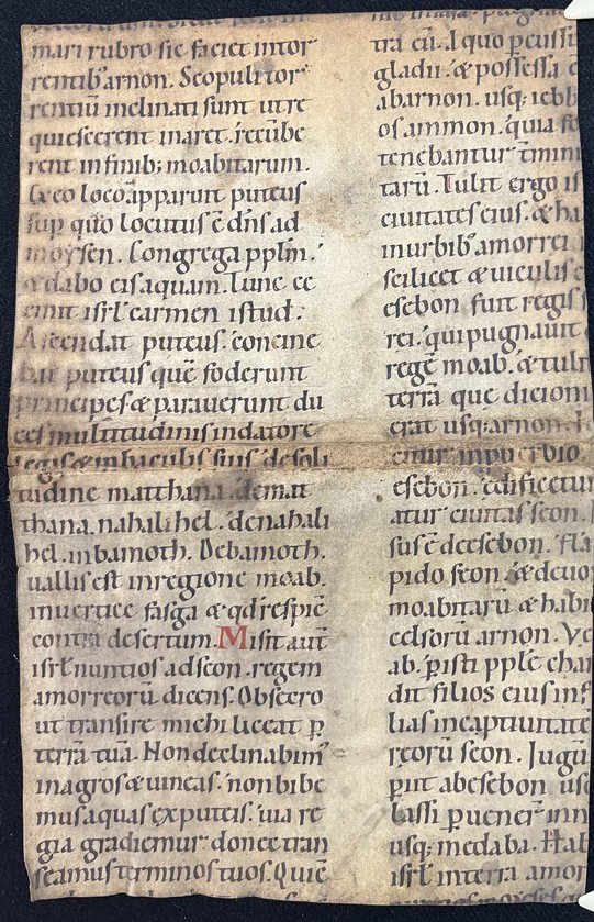 Fragm_Cod_Lat_36_verso