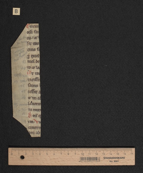 fragment [b] recto