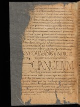 e_codices_bge_lat0016_045v_medium