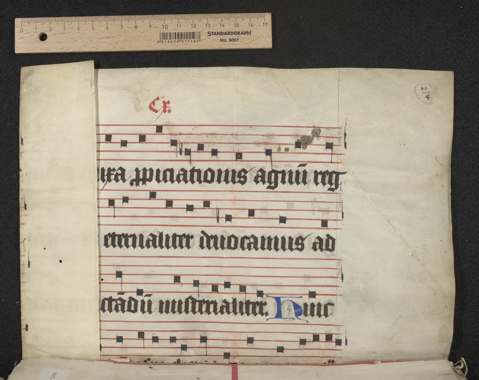 fol. 110r (upper half)