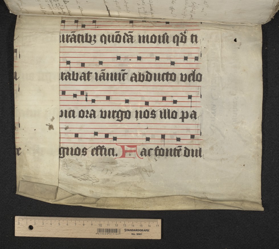 fol. 110r (lower half)