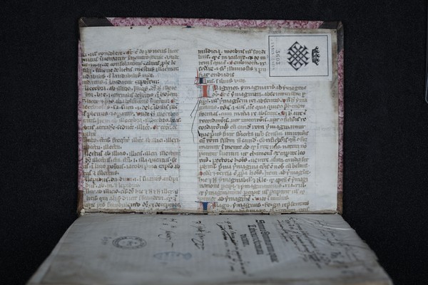 Contregarde supérieure