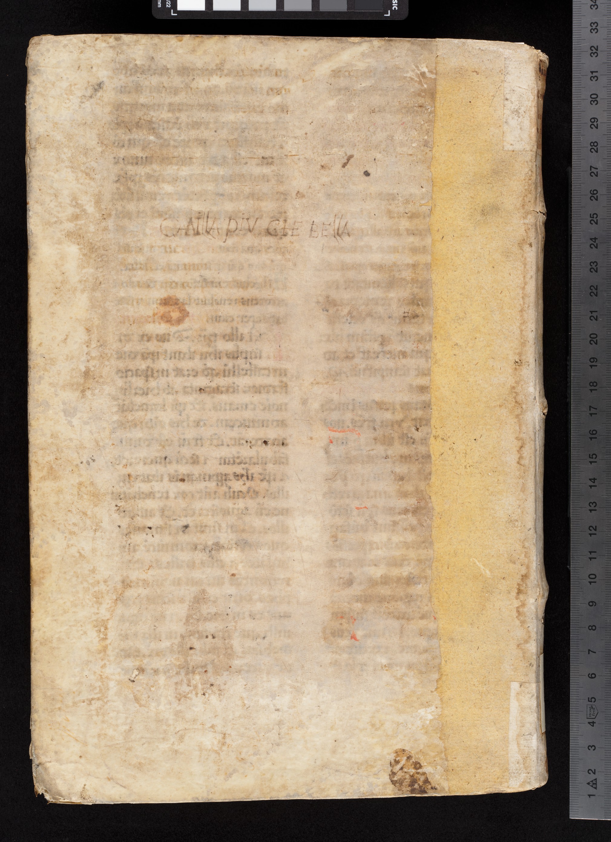 mds_19Ga13_coperta_posteriore