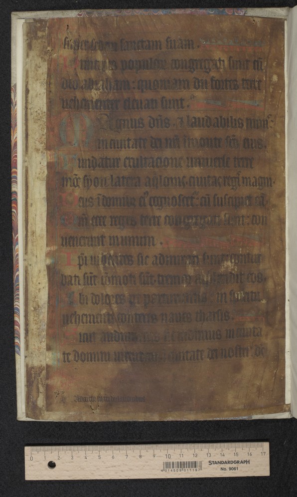Handschriften en Zeldzame Drukken, nr. 20-4, leaf 5, fol. [1]r