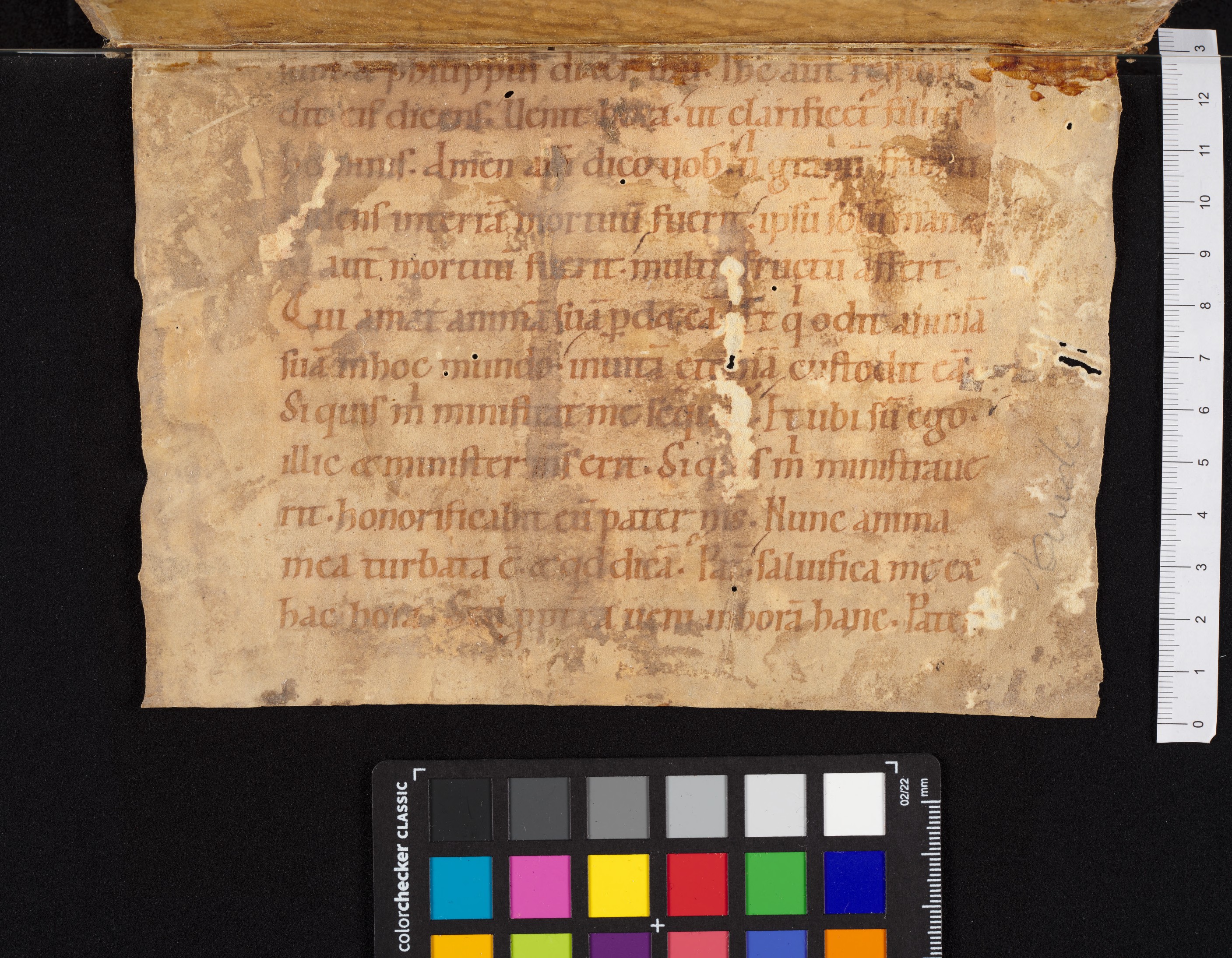 back pastedown dorse