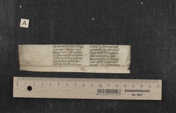 Fragm. 44 a, fol. [1]v