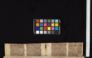 Back Flyleaf r