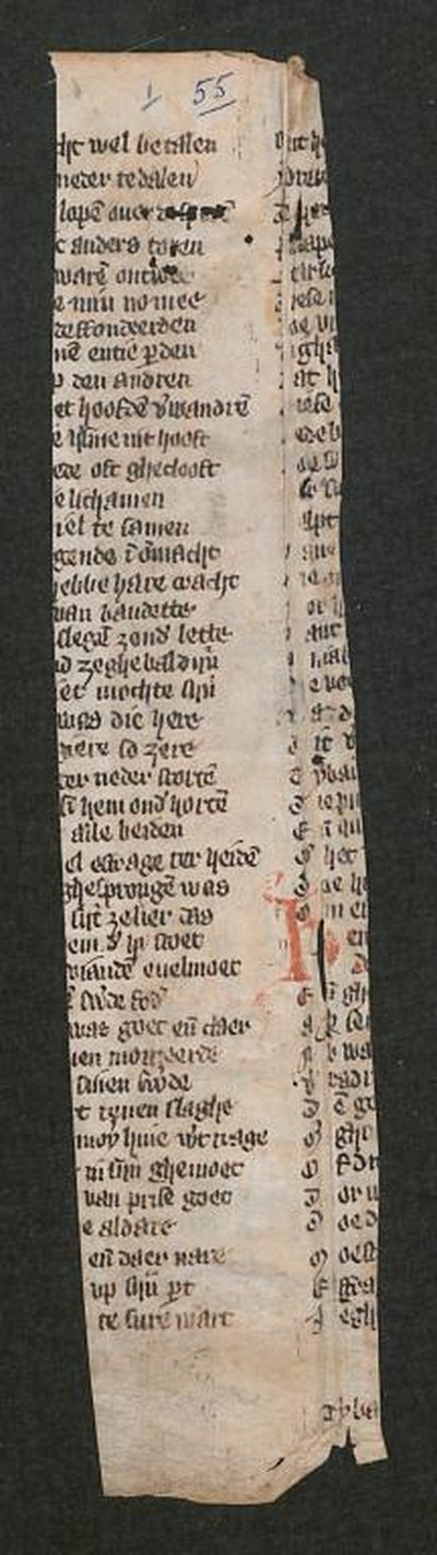 fol. 1v