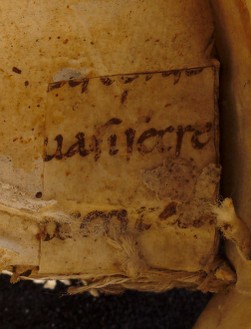 mds_51Aa04_rinforzo1a_cont