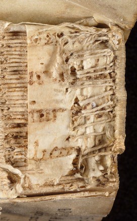 mds_51Aa04_rinforzo1b_cont