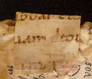 mds_51Aa04_rinforzo3c_cont