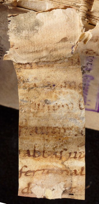 mds_51Aa04_rinforzo3d_cont