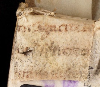 mds_51Aa04_rinforzo4c_cont