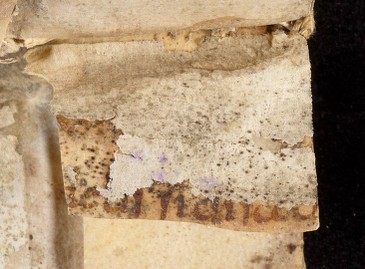 mds_51Aa04_rinforzo4d_cont