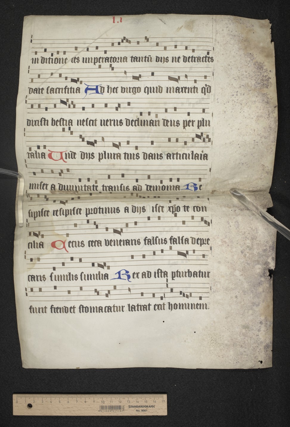 fol. 51r